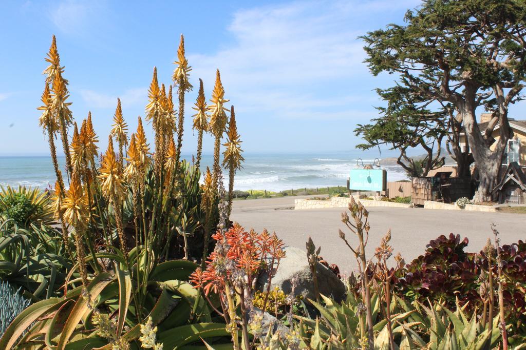 Cambria Shores Inn Extérieur photo