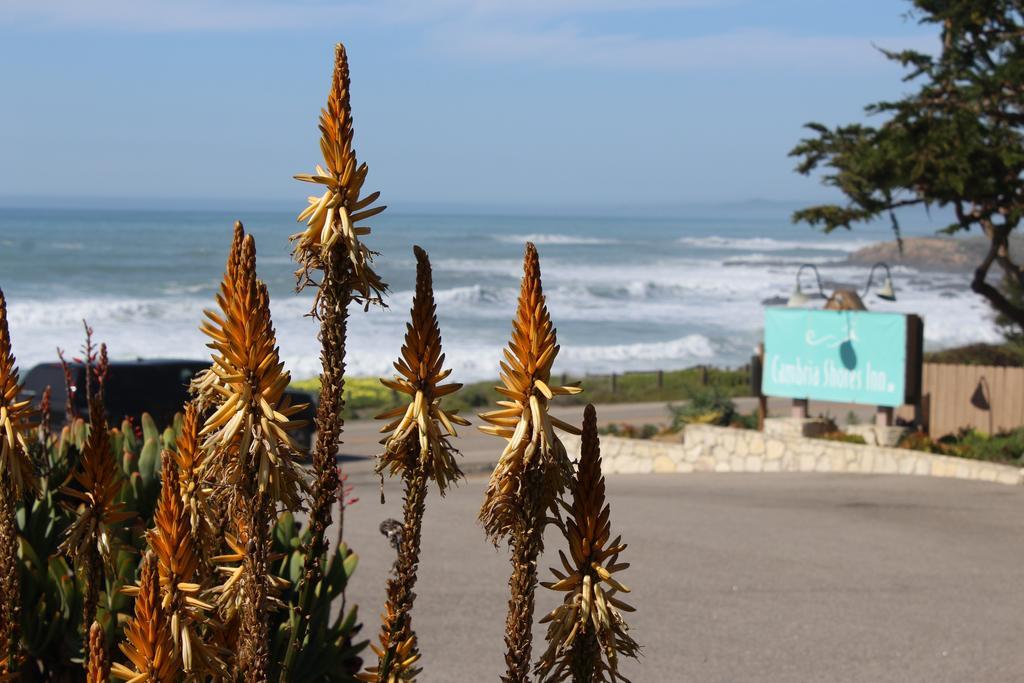 Cambria Shores Inn Extérieur photo